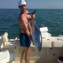 andrea gavin - @zorman_13899 - Twitter