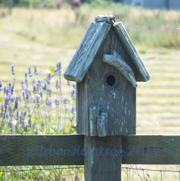 UrbanRaintree's profile picture. Passion for healthy living by growing our own fruits, veggies and herbs utilizing an Aeroponic Vertical Garden System. Official #urbanraintree Twitter acct.