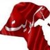 بو عبدلله (@yousefaljraid) Twitter profile photo