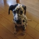 Lucy King (@07004259) Twitter