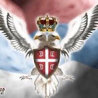 Др Орао Небески 🇷🇸 1244 и Устав РС (@aleks_koprivica) 's Twitter Profile Photo
