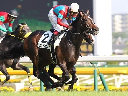 競馬は横山典弘。
競馬と新日本プロレスが好き。