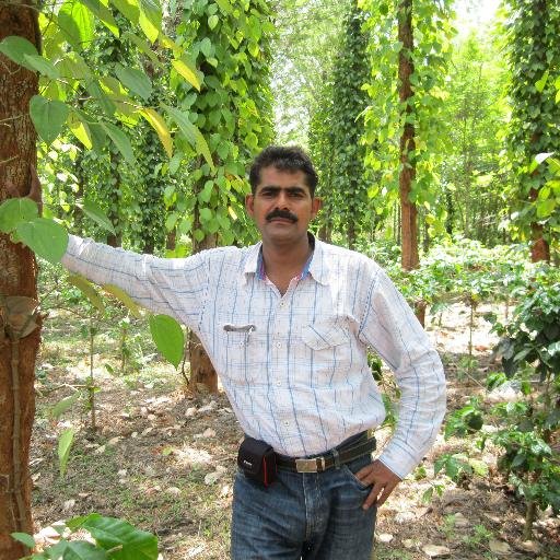 DileepRai2's profile picture. Working on medicinal plant cultivation.