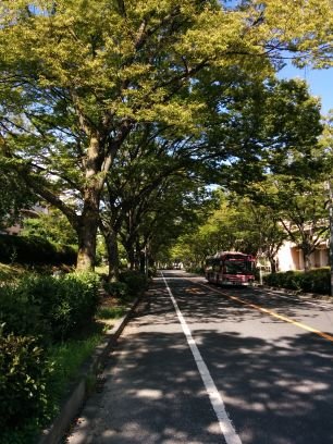 Bigapple0713's profile picture. 