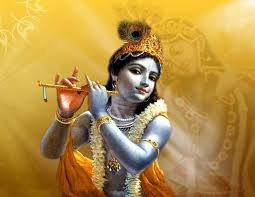 MenakaVasudev's profile picture. 