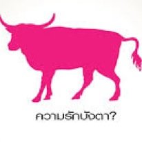 PitchayaPmk's profile picture. 