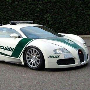 I love cars. That's it.
