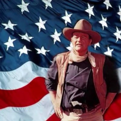 Conservative union member,  but not  always pro-union.  #MAGA Let’s go Blues