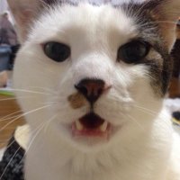 叶瀬LMS (@sugisou1003) 's Twitter Profile Photo 叶瀬LMS (@sugisou1003) 's Twitter Profile Photo