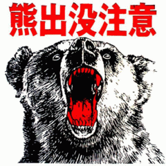 mnagase's profile picture. Hokkaido Japan. The Kingdom of dirt bike.