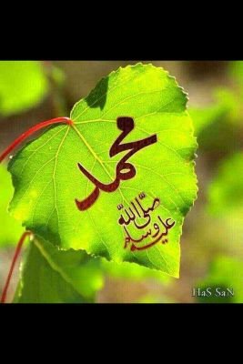 ‏ارضا بالقليل يأتيك الكثير