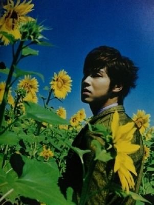 mayu_knowmax's profile picture. 