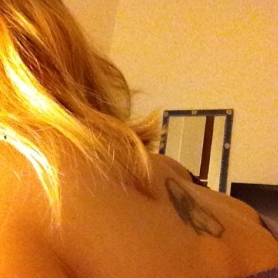 shibols's profile picture. 