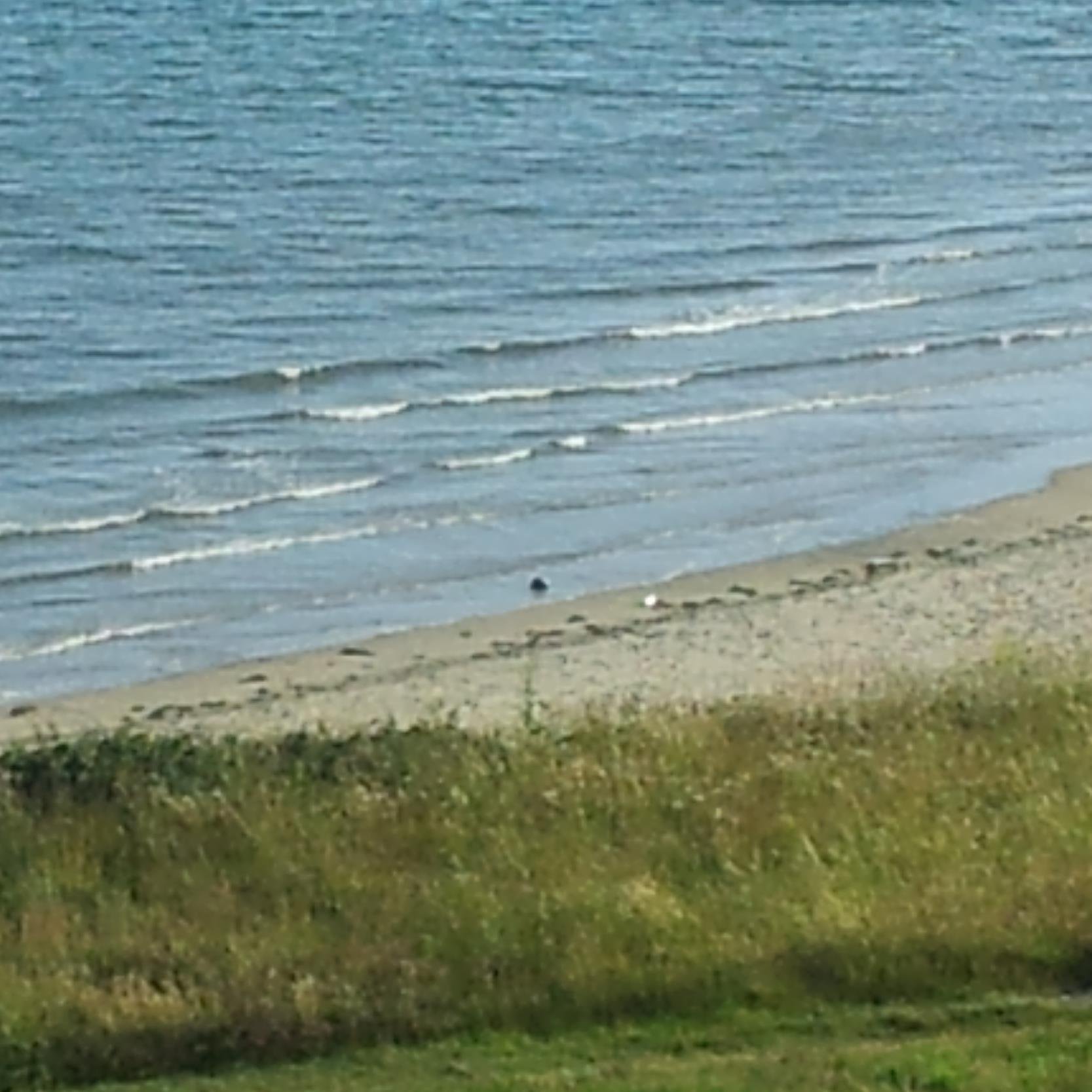 johnheywood345's profile picture. 