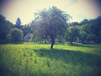 Ingénieur Agroalimentaire ( @isaralyon ). Twitte #actu, #agroalimentaire. Équipe gagnante France et Europe 2013 @ecotrophelia #pavéduvelay