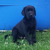Amee Faulkner (@deanandamee) 's Twitter Profile
