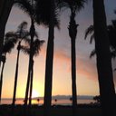 cathy dean - @cathydeanydog - Twitter