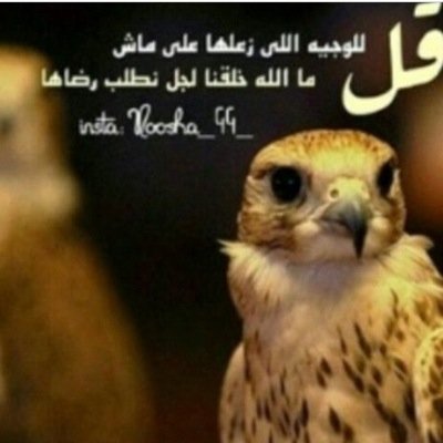 راك