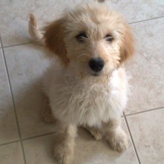 cynwong42's profile picture. 