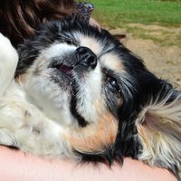 Alex Burrows (@axburrows) 's Twitter Profile