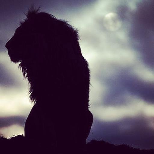 Norman__9's profile picture. 