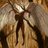 Angelcrticado's profile image