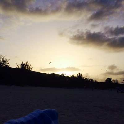 gonzalez_lizzie's profile picture. 