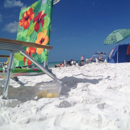 Cool Stuff about Siesta Beach and the Sarasota Area