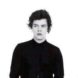 Harry suseso but heights