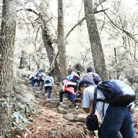 firayash's profile picture. Gagal itu bukan fatal dan Sukses itu bukan final . Journalism.