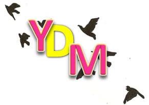 YDM is a foundation set up to educate young people on mental health and illustrate the positive uses of social media. © 2014 YDM