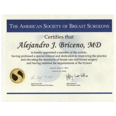 Breast cancer surgeon/American Society of Breast Disease / American Society of Breast Surgeons / European Society of Surgical Oncology / SESPM / AECIMA / EUSOMA