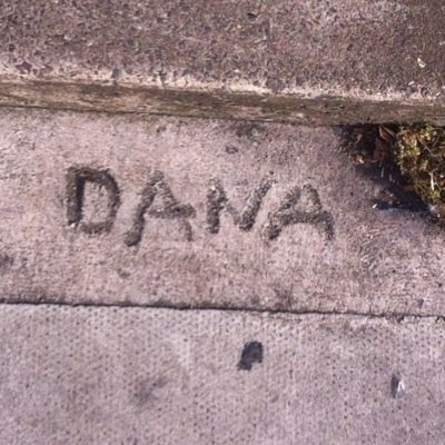 danaannchambers's profile picture. 