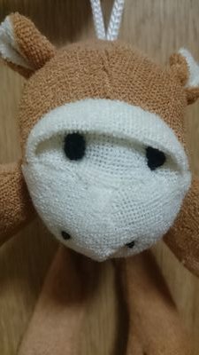 つぶやきます。毎日ではありませんが、たまに細々とつぶやきます。のんびりなので、フォロー返しが必須の方は要注意。( *・ω・)