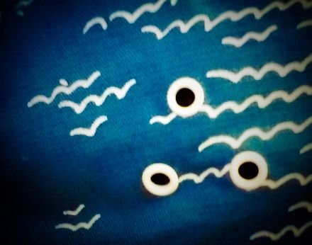 viewfromthedock's profile picture. 