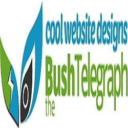 At The Bush http://t.co/23n52j4x4E we provide online marketing services