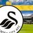 swanseaswe's profile image