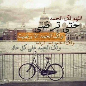 متواضع ،،اضع للكلمة وزن بلا تكلف ..ولست بجيح