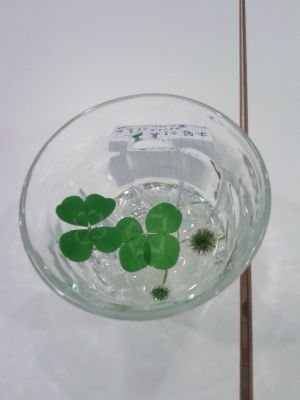 0463mountainrec's profile picture. 神奈川県秦野市の四つ角すぐそば。中古CDレコード本などの買い取り販売 。https://t.co/Tpx4pCwWu9