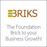 EBriks – THE FOUNDATION BRICK to your BUSINESS GROWTH!