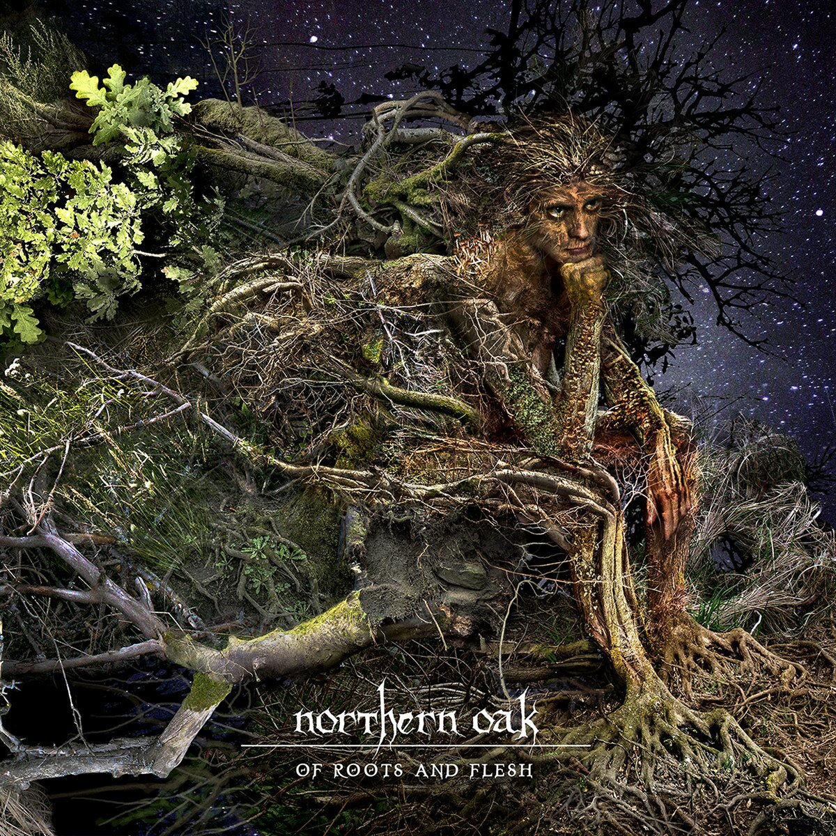 northernoak's profile picture. Official Twitter for the pioneers of the heavy flute sound, Northern Oak | Progressive folk metal | Sheffield, UK | http://t.co/17hIXjx3ZW