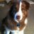 RedDogFinn's profile image