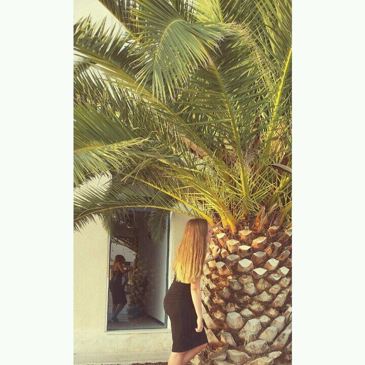 instagram; reneeedb