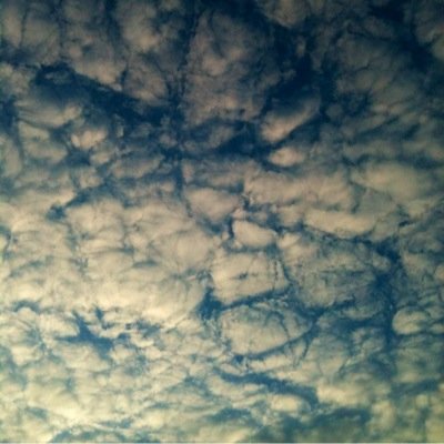 IanGJH's profile picture. Heritage, archaeology, social history of learning disability.