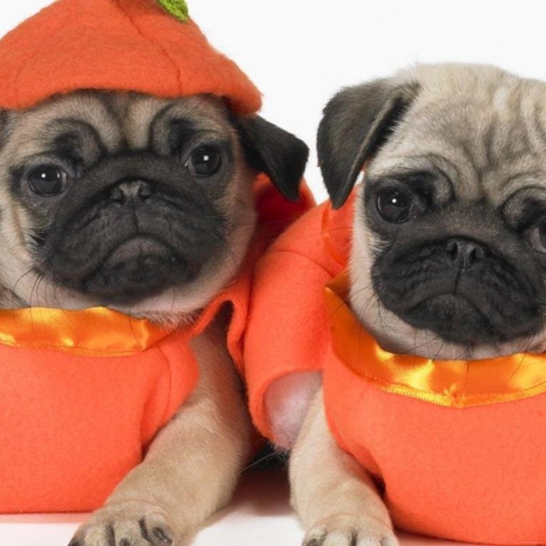 HMclughlin's profile picture. Wuz  UP  everone    hi everyone