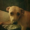 Bethan Cook - @cook_bethan - Twitter