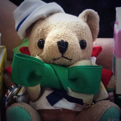 成人済 ◆ 埼玉、都内手渡し可能 ◆
