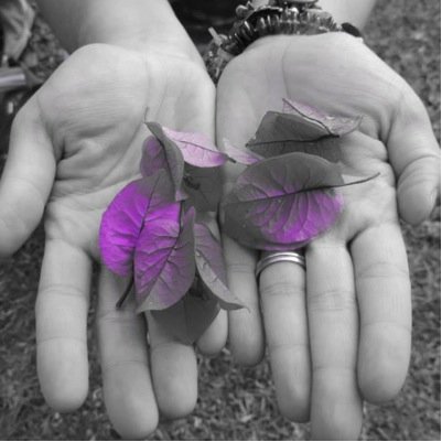 Psicología + Niños + Jazz + Cocina + Naturaleza