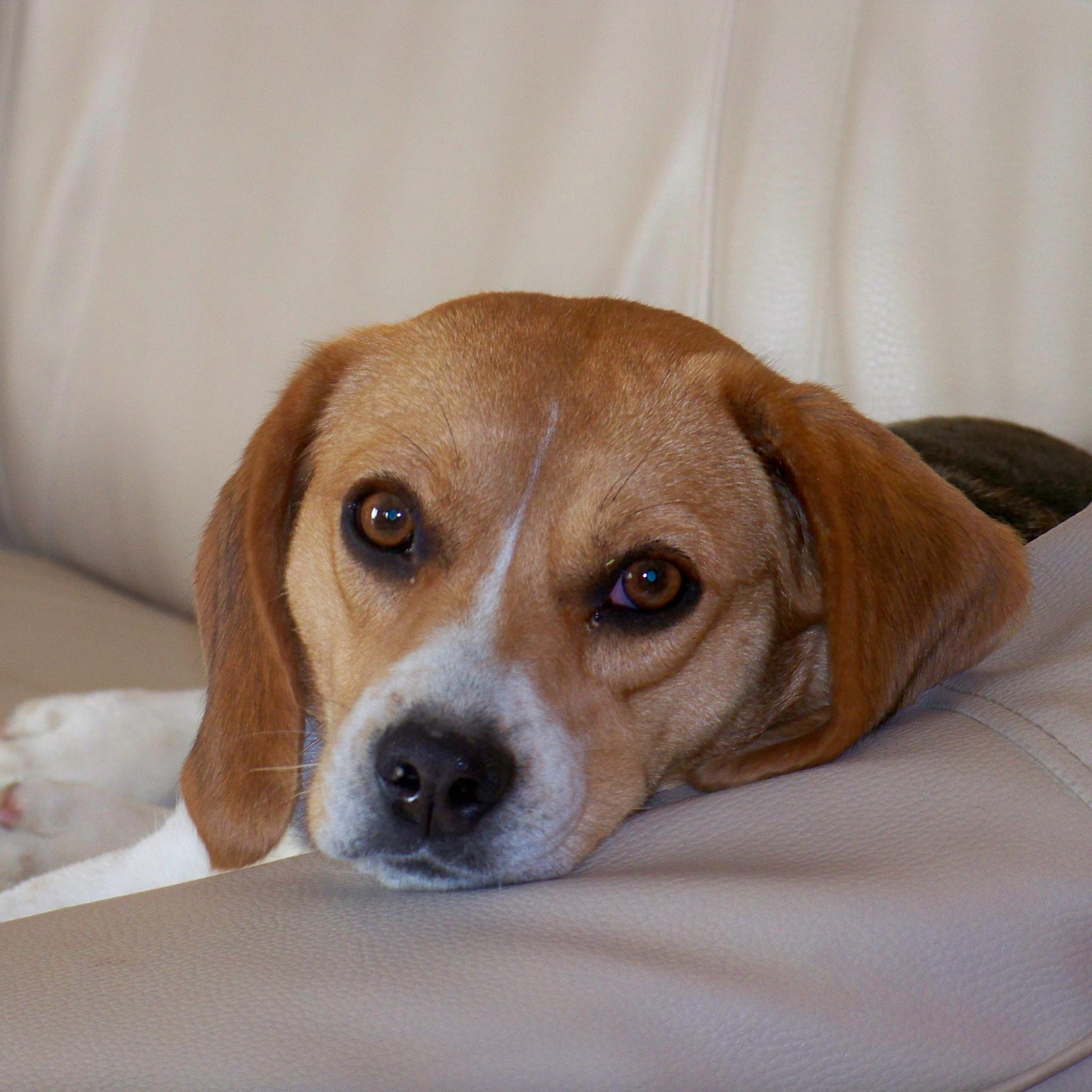 seyar1234's profile picture. 