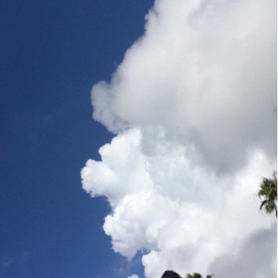 hitoshi4649yo's profile picture. 俺の素顔を見せれる人だけ